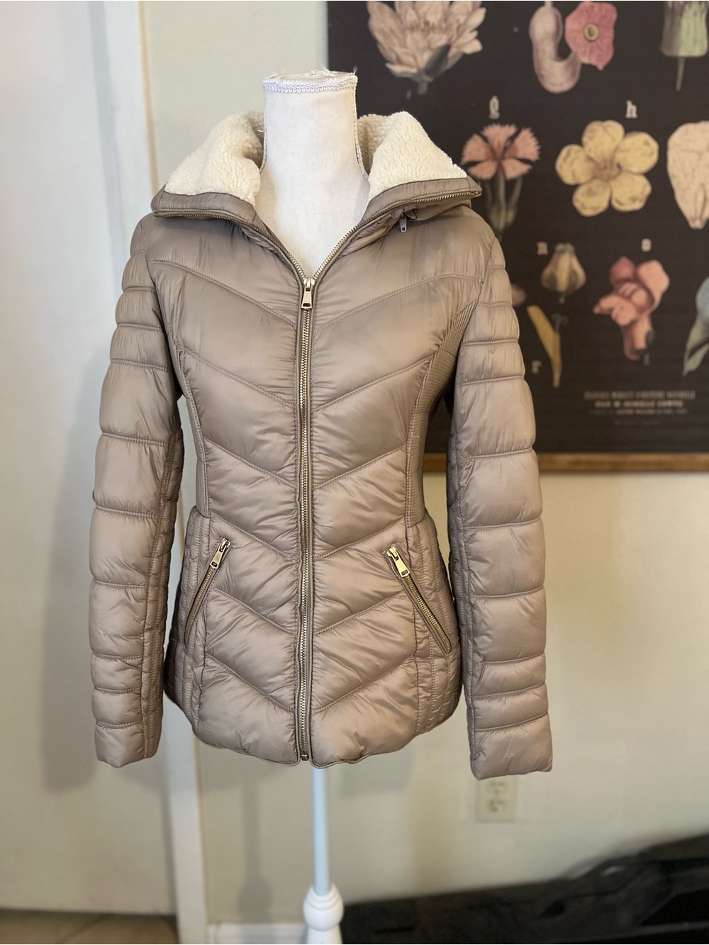 Quilted Hooded Puffer Jacket in Taupe with Sherpa Lining